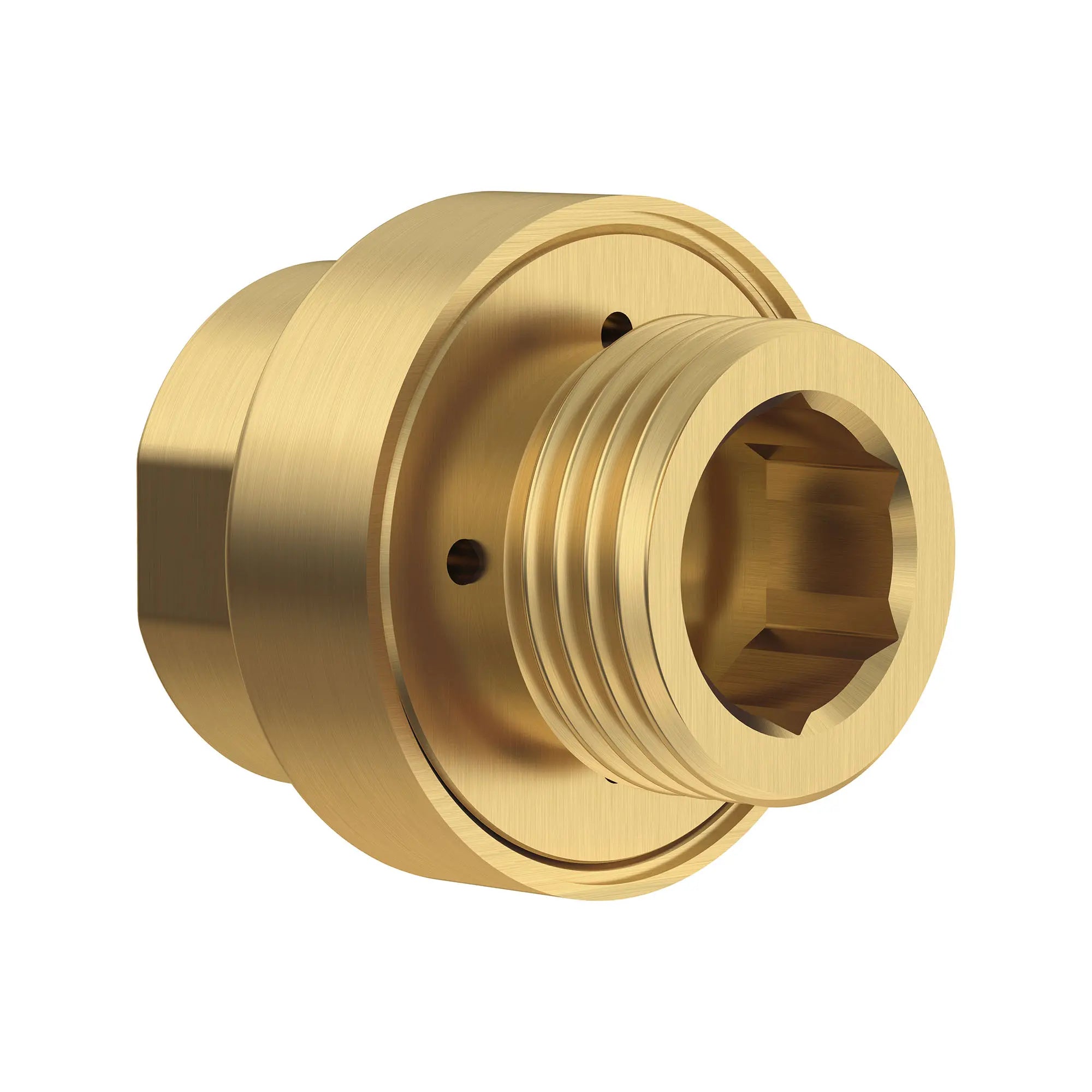 1/2-Inch NPT In-Line Vacuum Breaker // BRUSHED COOL SUNRISE // 168610_Parts_SiloRight_1660400.GN0_0001_Feb2023_0_CDNwebp.webp