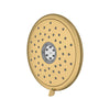 [9038074.GN0] Spectra Fixed 7-Inch 1.8 gpm/6.8 L/min Fixed Showerhead - Brushed Cool Sunrise