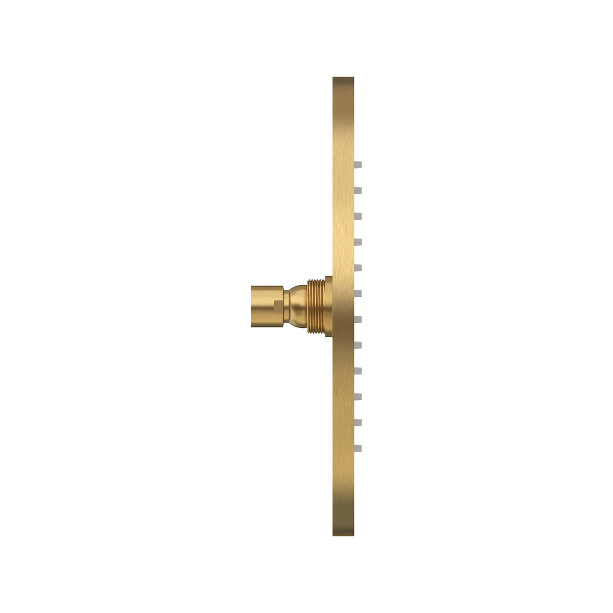 Modern 10-Inch 2.5 gpm/9.5 L/min Rain Showerhead // BRUSHED COOL SUNRISE // 168853_Modern_SiloSide_1660683.GN0_0001_Apr2023_0_CDNwebp_1d53d351-f224-4671-9004-c8d2313901ba.webp