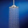 [1660610.002] 10-Inch 2.5 gpm/9.5 L/min Rain Showerhead - Polished Chrome