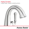 Delancey® Single Hole Single-Handle Bathroom Faucet 1.2 gpm/4.5 L/min With Lever Handle // CHROME // 239557_Delancey_Infographic_7052121_0002_MAR2024_CDNwebp.webp