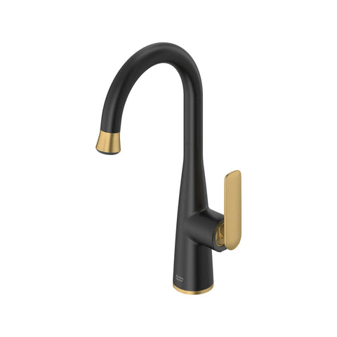 Aspirations Pull-Down Bar Faucet 