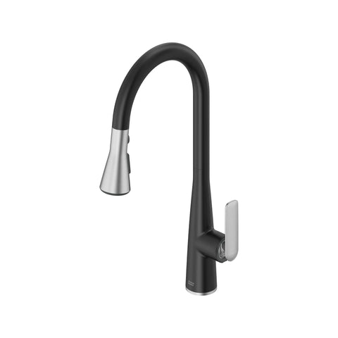 Aspirations Pull-Down Kitchen Faucet 