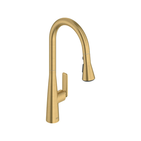 Aspirations Pull-Down Kitchen Faucet 