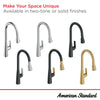 [1048810000] Aspirations Pull-Down Kitchen Faucet  - Polished Chrome