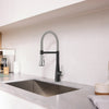 [1048824230] Aspirations Semi-Pro Kitchen Faucet  - Matte Black/Stainless Steel