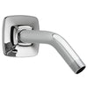 [1660245.002] Townsend® Showerhead Arm and Flange - Polished Chrome