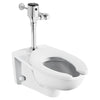 [624B111.002] Ultima® Selectronic® Exposed Toilet Flush Valve, Diaphragm Type, Base Model, 1.1 gpf/4.2 Lpf - Polished Chrome